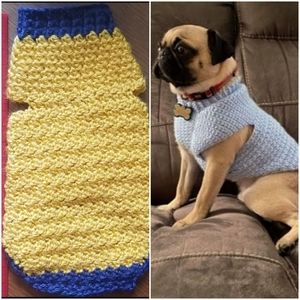 Teacup dog sweater handmade